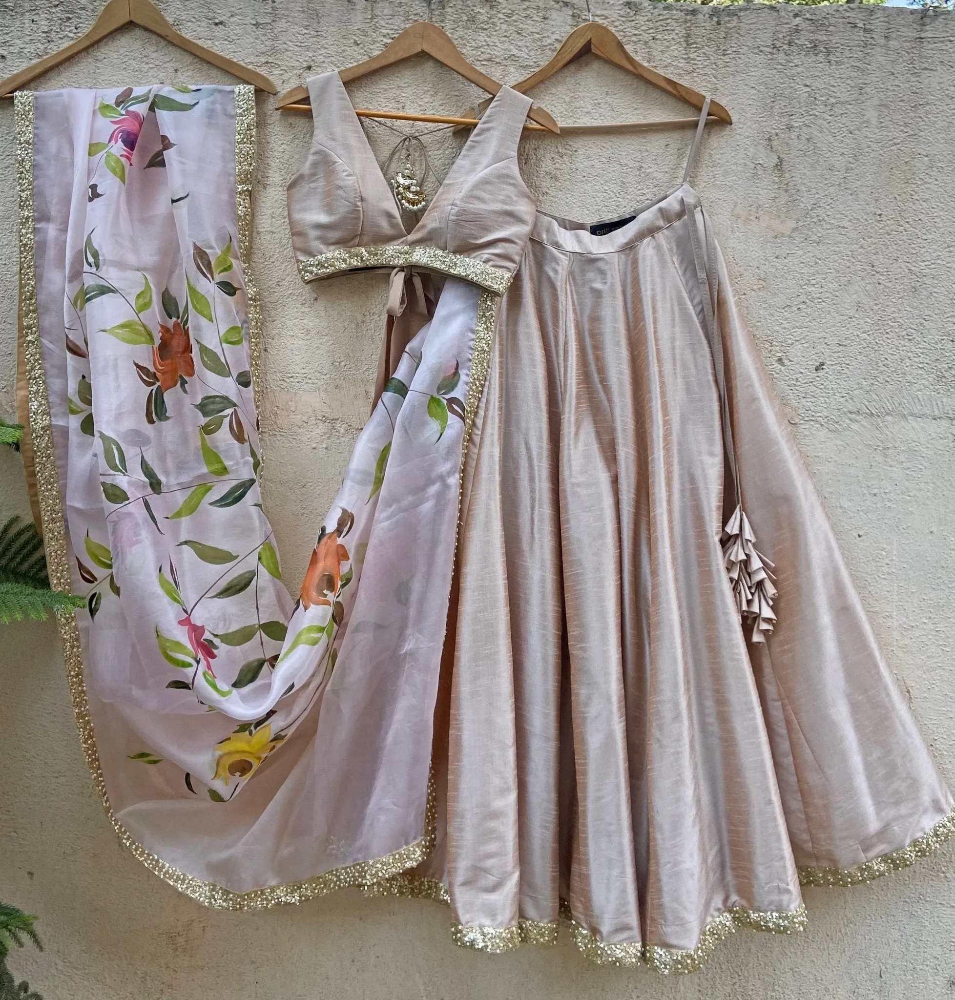 Beige Lehenga With Hand Painted Dupatta