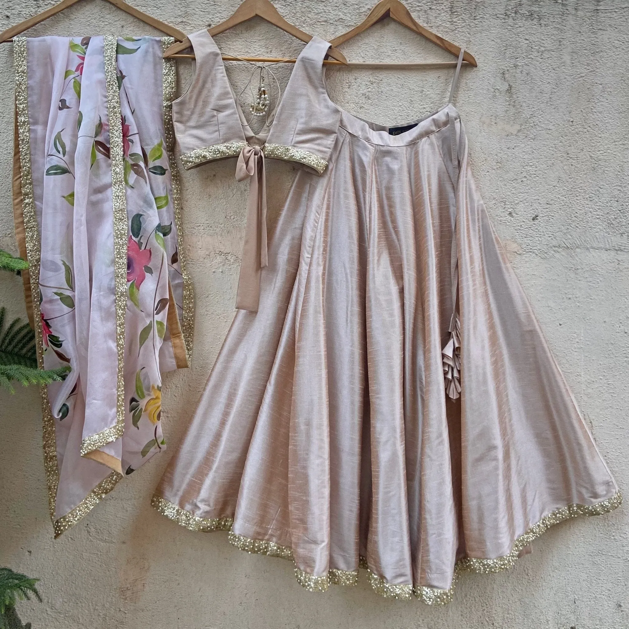 Beige Lehenga With Hand Painted Dupatta