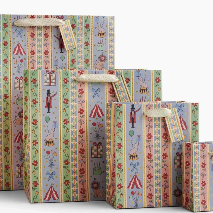 Carnival Gift Bag (Medium)