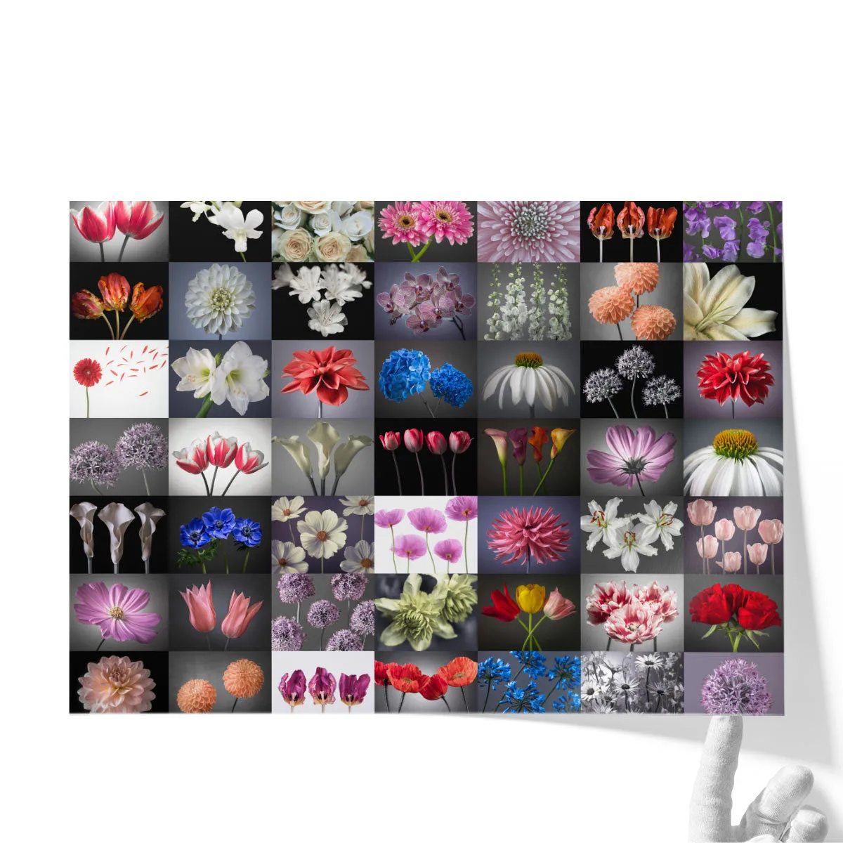Collage Of Flowers - Canvas Print Wall Art