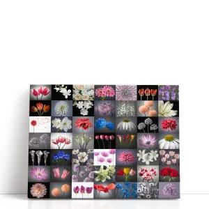 Collage Of Flowers - Canvas Print Wall Art