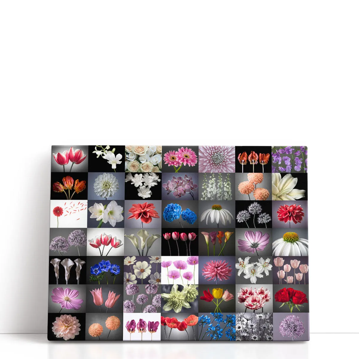 Collage Of Flowers - Canvas Print Wall Art