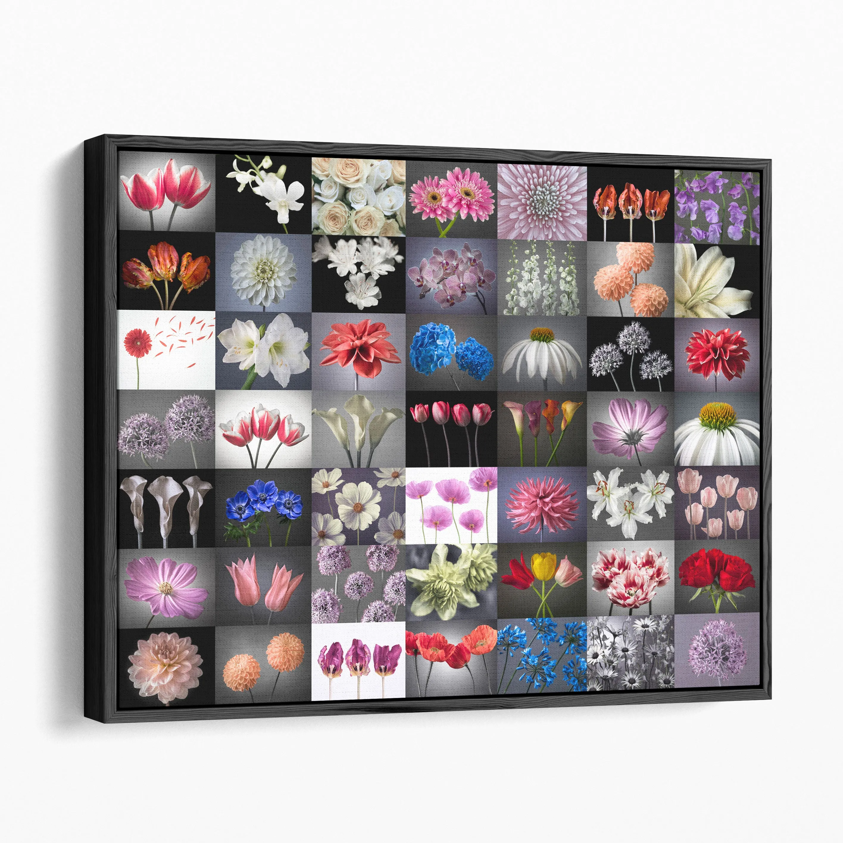 Collage Of Flowers - Canvas Print Wall Art