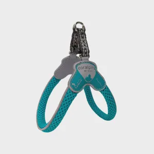 Coralpina Cinquetorri Harness / Turquoise