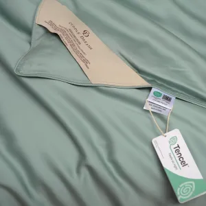 CUDDLE DREAMS Silk Filled Comforter for All Season, Detachable Tencel Duvet Cover for Easy Care, Naturally Breathable (Celadon, Twin)