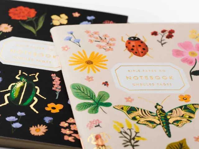 Curio Pocket Notebooks (Pair of 2)