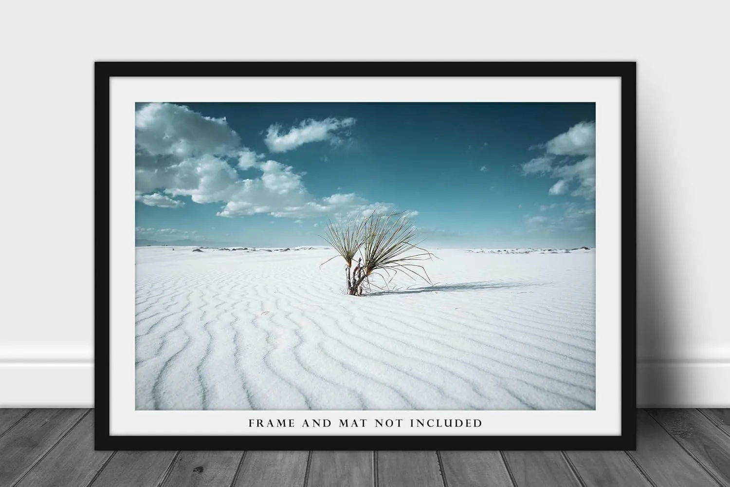 Desert Photography Print (Not Framed) Picture of Yucca Plant in Sand Dunes at White Sands National Park New Mexico Retro Cool Wall Art Southwestern Decor (20" x 30")