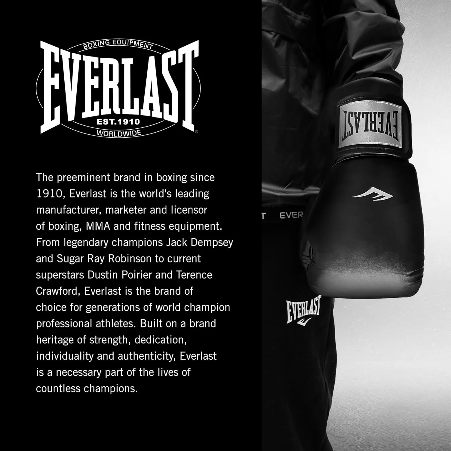 Everlast Prostyle 2 Boxing Gloves, Entry Level Training Gloves for Men and Women, Secure Fit Hook and Loop Closure & Ventilation, Heavy Bag & Speedbag Training