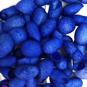 Hand Dyed Silk Cocoons, Silk Cut Cocoons, Mulberry Silk Fibres, Selection Pack of 30 Cut Silk Cocoons (Blue Royal)