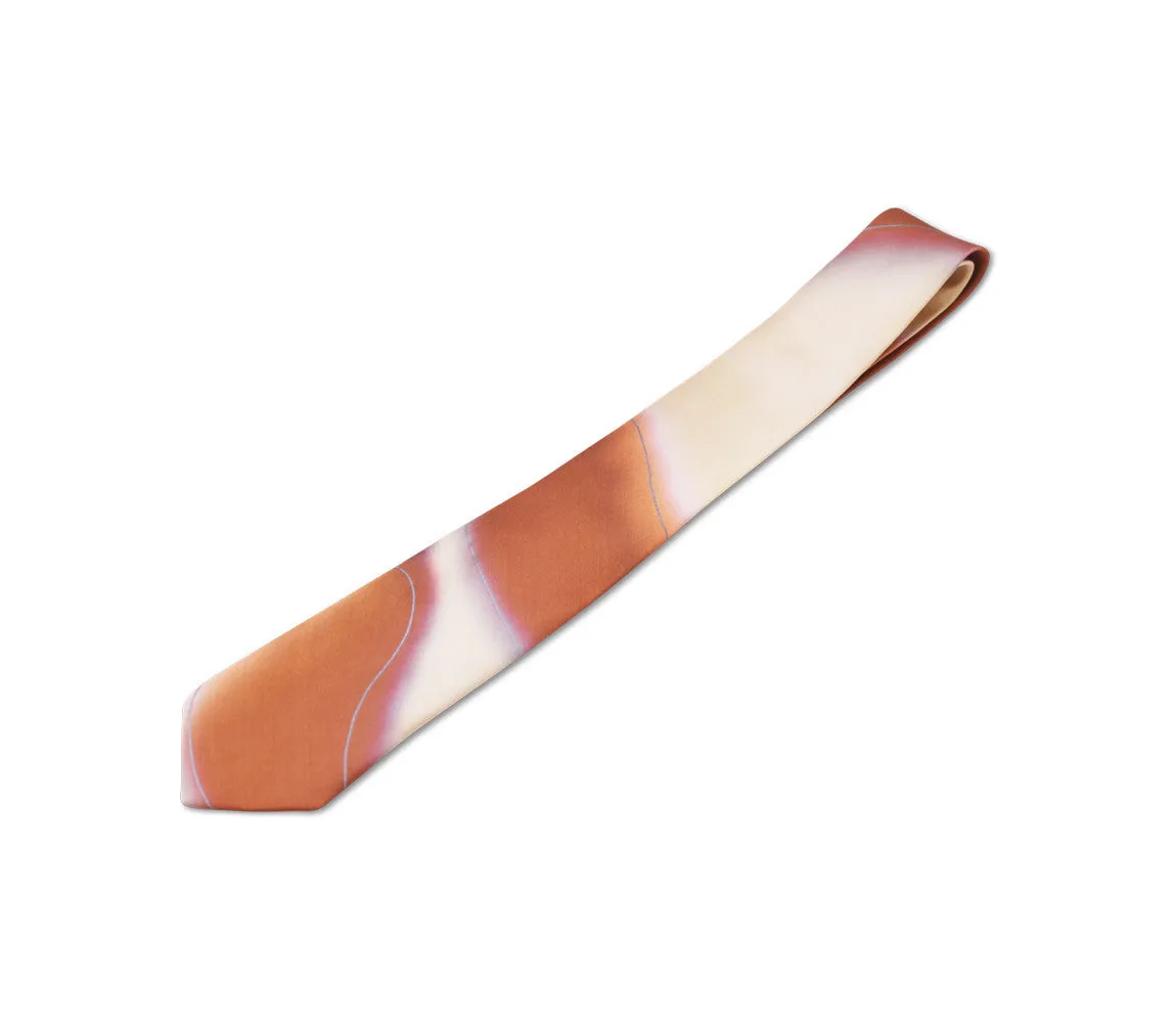 Hand Painted Tie
