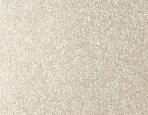 <strong>404**</strong> <Br> 8' x 4'