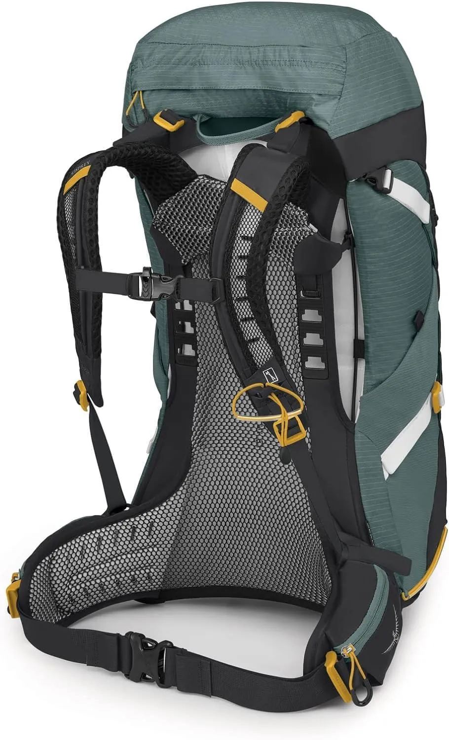 Osprey Sirrus 36L Women's Hiking Backpack, Succulent Green