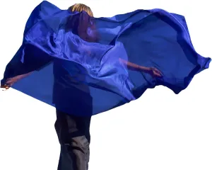 Womens 100% Silk Lightweight Dance Scarves Shawls Veils Wraps Solid Colors