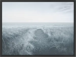 Woodrose Framed Wall Art Print Grassland Trail Leading To The Sea Coastal Ocean Photography Realism Modern Landscape Relax/Calm Multicolor Cool for Living Room, Bedroom, Office - 12"x16" BLACK