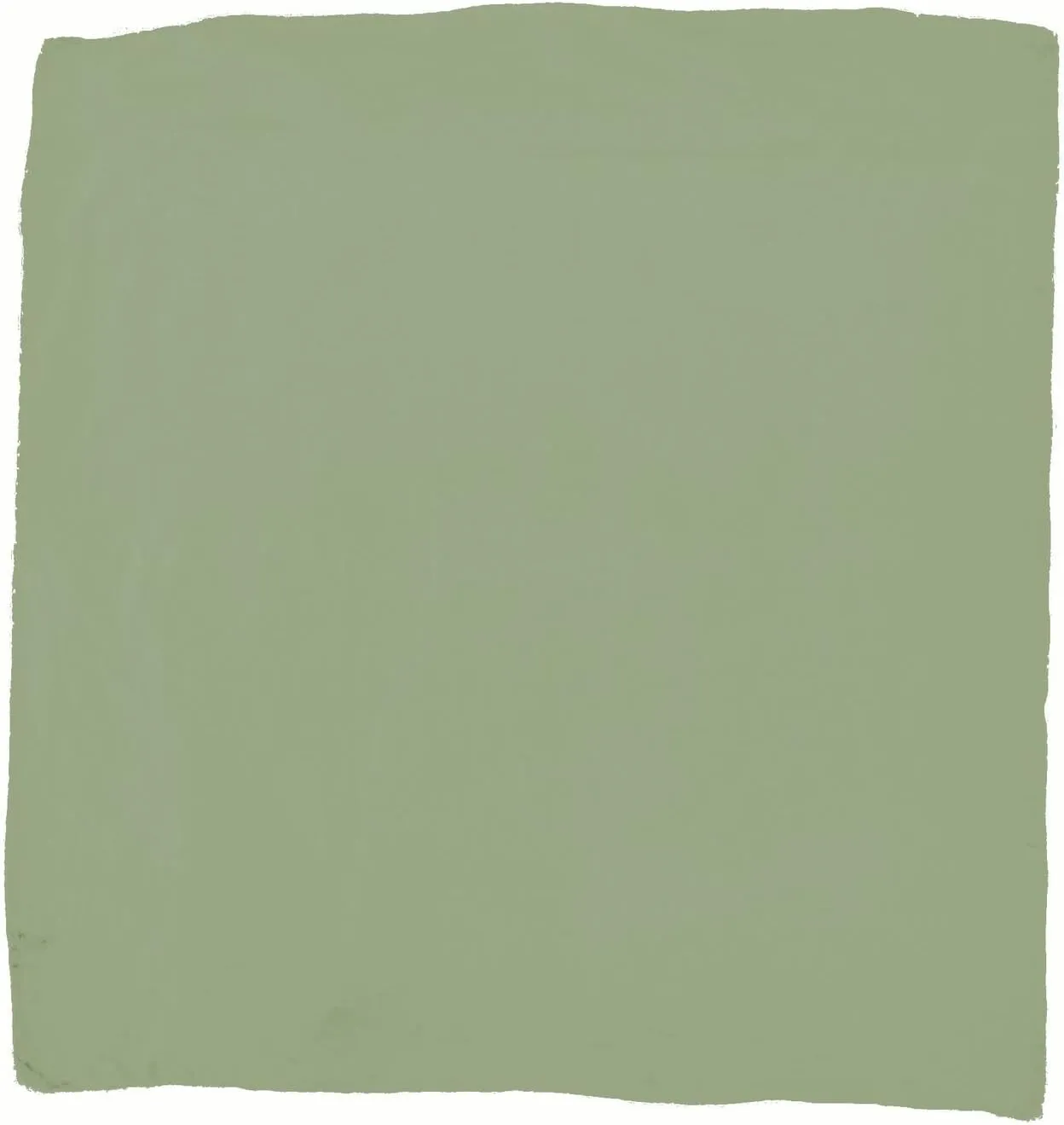 Wyoming Traders Mens Solid Silk Wild Rag Scarf Sage Green One Size